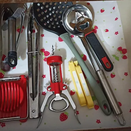 Kuca Donji Park Villa *