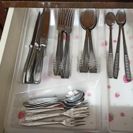 Kuca Donji Park Villa Becej